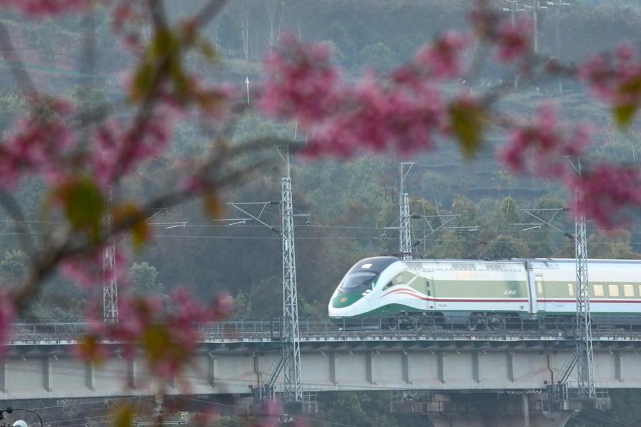 La ferrovia Cina-Laos segnala un aumento del traffico passeggeri transfrontaliero durante le vacanze della Festa di Primavera