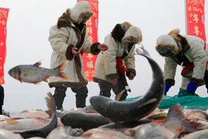 Stagione della pesca invernale al Lago Bosten, Xinjiang