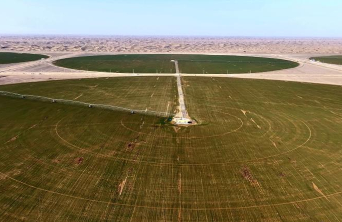 Dischi verdi nel deserto meridionale dello Xinjiang