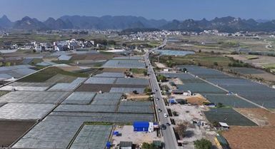 Come la Cina promuove la modernizzazione agricola e la rivitalizzazione rurale