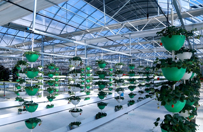 Serre d'altopiano dotate di sistemi intelligenti