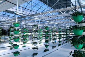 Serre d'altopiano dotate di sistemi intelligenti