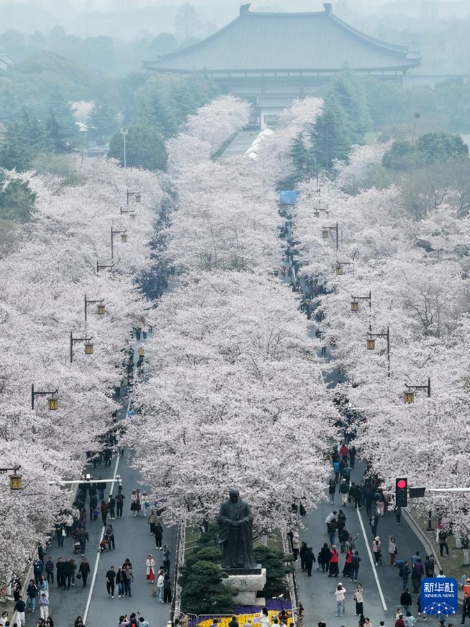 Primavera nel pieno del suo splendore in tutto il Paese