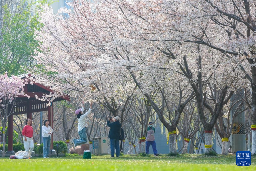 Primavera nel pieno del suo splendore in tutto il Paese