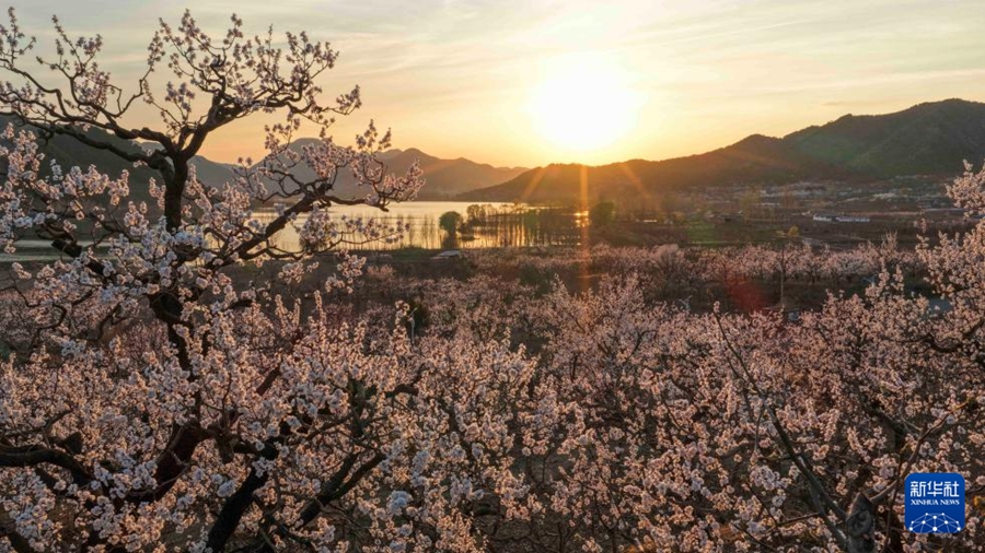 Primavera nel pieno del suo splendore in tutto il Paese