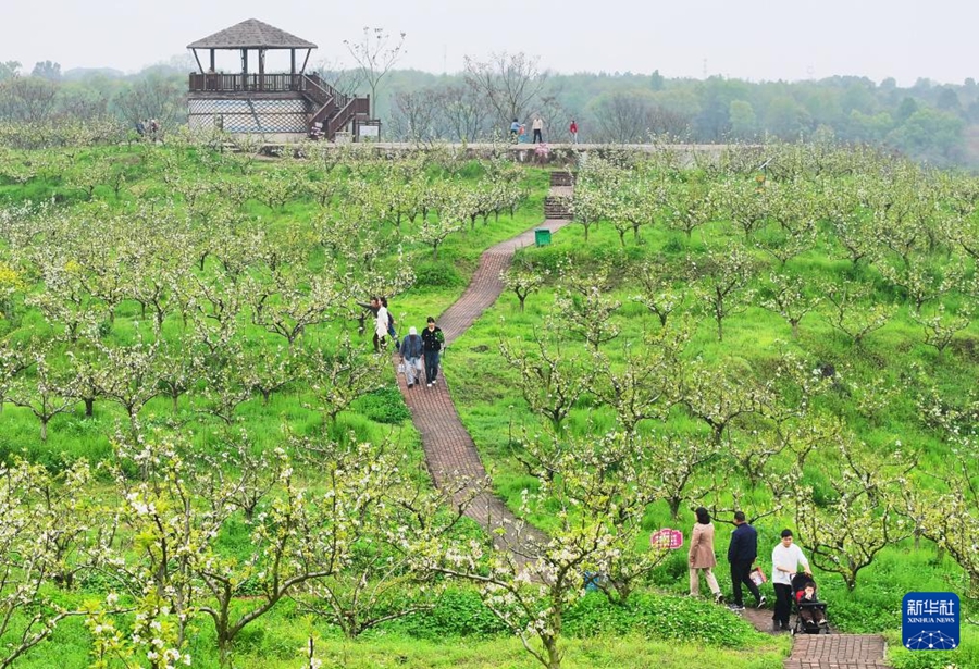 Primavera nel pieno del suo splendore in tutto il Paese