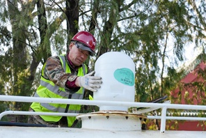 Beijing: Misure multiple per combattere il polline allergenico