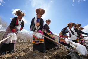 Cerimonie per l'avvio della semina primaverile si tengono in Xizang