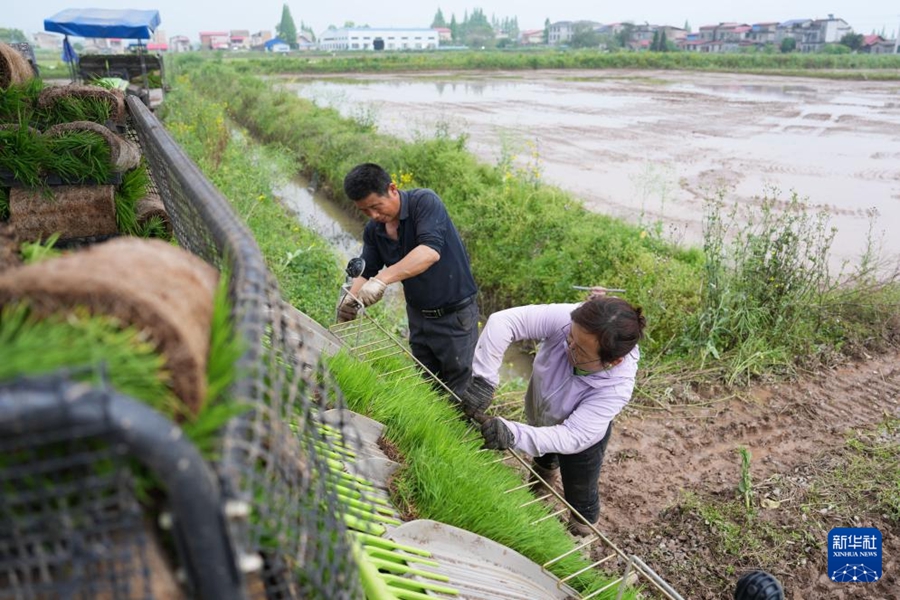Macchine agricole senza pilota facilitano la semina primaverile