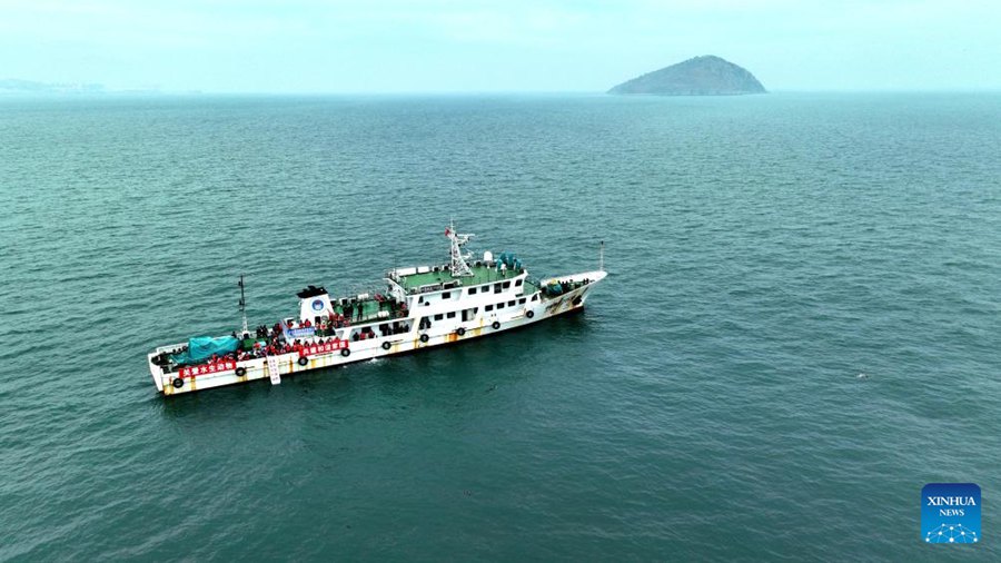 La popolazione di foche torna a crescere nella Baia di Liaodong, nel nord-est della Cina