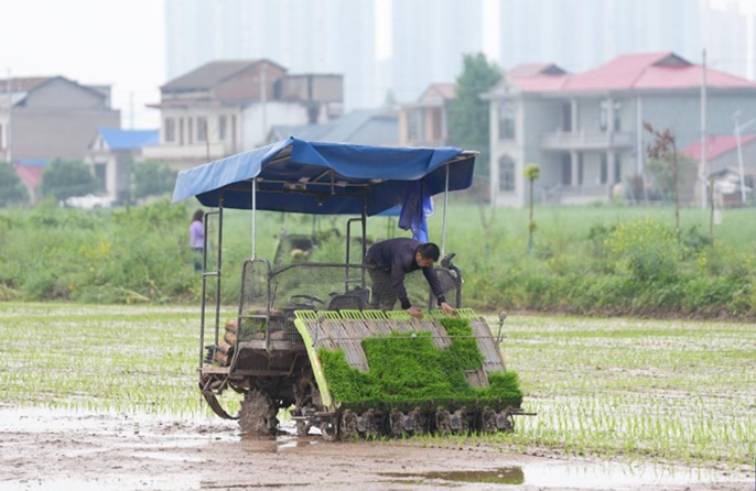 Macchine agricole senza pilota facilitano la semina primaverile