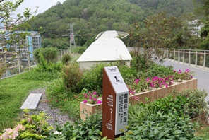Shenzhen esplora un percorso distintivo per la conservazione della biodiversità nelle aree urbane