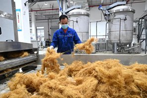 Liuzhou: Sostituzione della plastica con materiali a base di bambù nell'industria automobilistica