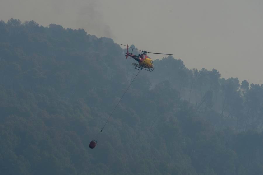 Incendi boschivi e siccità mettono in luce le crescenti sfide climatiche in tutta Europa