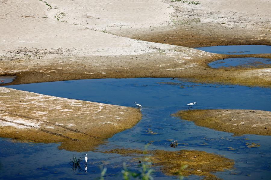 Ondata di caldo stringe la sua morsa sull'Europa, mettendo a dura prova trasporti, energia e agricoltura