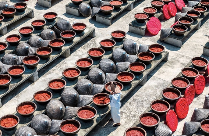 Preparativi per la produzione di salsa al peperoncino nello Hunan