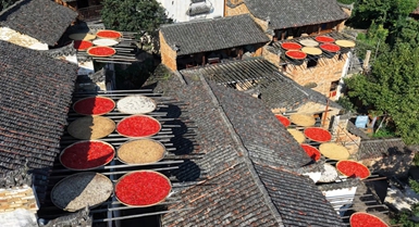 Essiccazione autunnale in un antico villaggio del Jiangxi