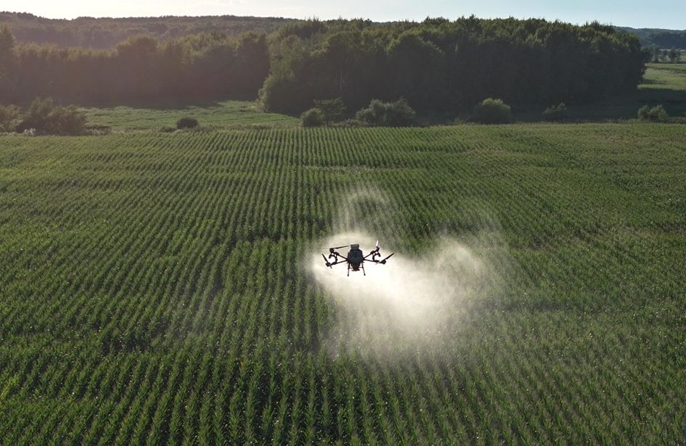 Heilongjiang, aerei e droni sostengono la produzione dei cereali autunnali