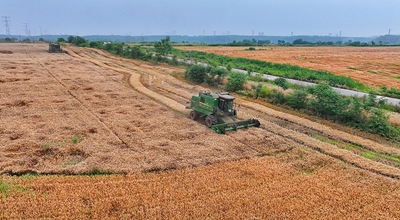 Cina, la produzione industriale annua delle imprese cerealicole supera i 4.000 miliardi di yuan