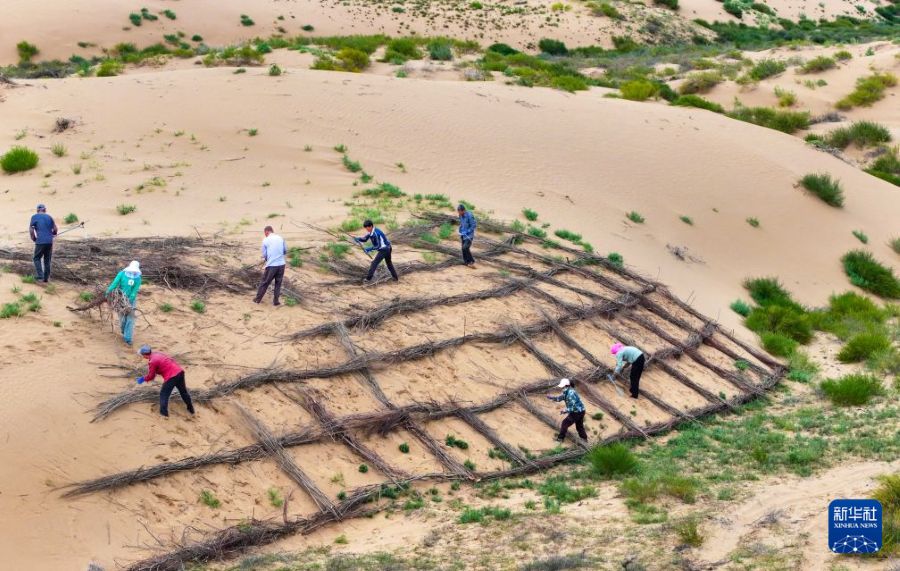 Ordos, lotta alla desertificazione attraverso sussidi verdi in cambio di lavoro