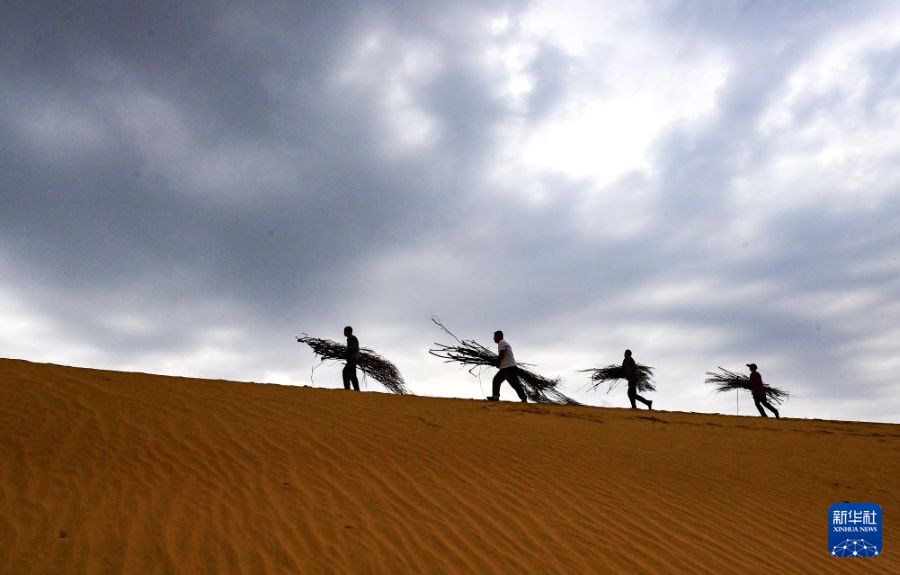 Ordos, lotta alla desertificazione attraverso sussidi verdi in cambio di lavoro