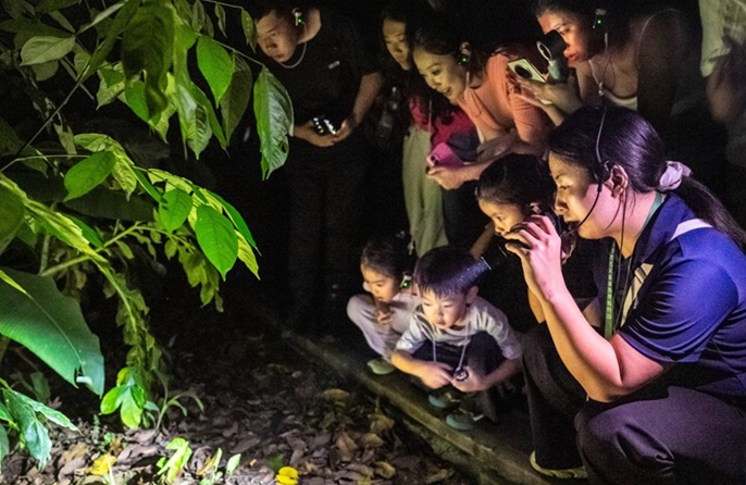 Tour notturno nella foresta pluviale nello Yunnan, un'aula di biologia unica