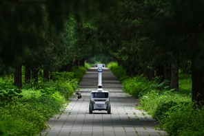 Nuovi robot nel Parco del Tempio del Cielo a Beijing