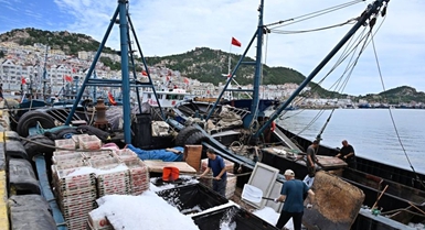 Al via la nuova stagione di pesca nel Mar Giallo e nel Mar Bohai