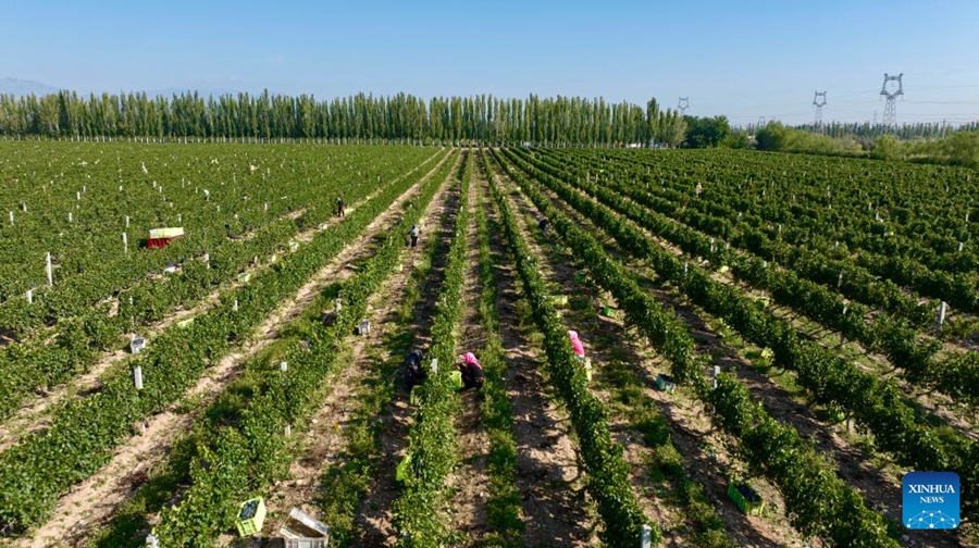 Ningxia, un borgo cinese trasformato dalla collaborazione Est-Ovest per la riduzione della povertà