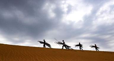 Ordos, lotta alla desertificazione attraverso sussidi verdi in cambio di lavoro