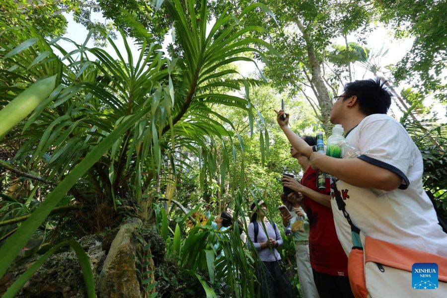 La Festa di Metà Autunno porta momenti di svago in tutta la Cina