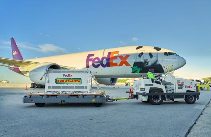 Coppia di panda cinesi arriva nella città statunitense di Atlanta