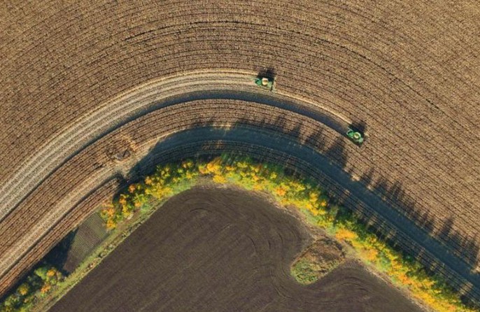 Heilongjiang: la raccolta autunnale entra nel vivo durante la Festa Nazionale