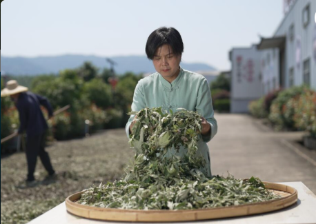 Due donne cinesi tra le 100 Women Heroes della FAO