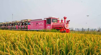 La Festa di Metà Autunno porta momenti di svago in tutta la Cina