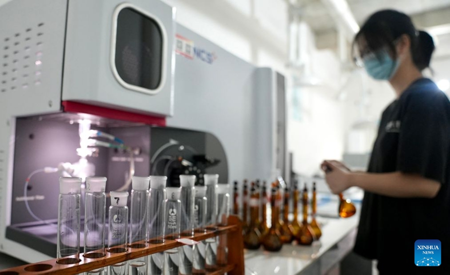 Contea di Shangyou sviluppa l'industria del bambù per il mercato globale